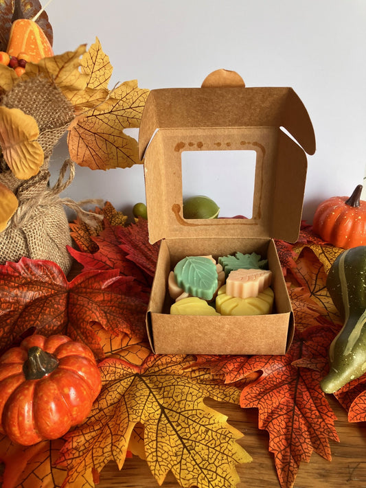 Herfstwandeling wax melts